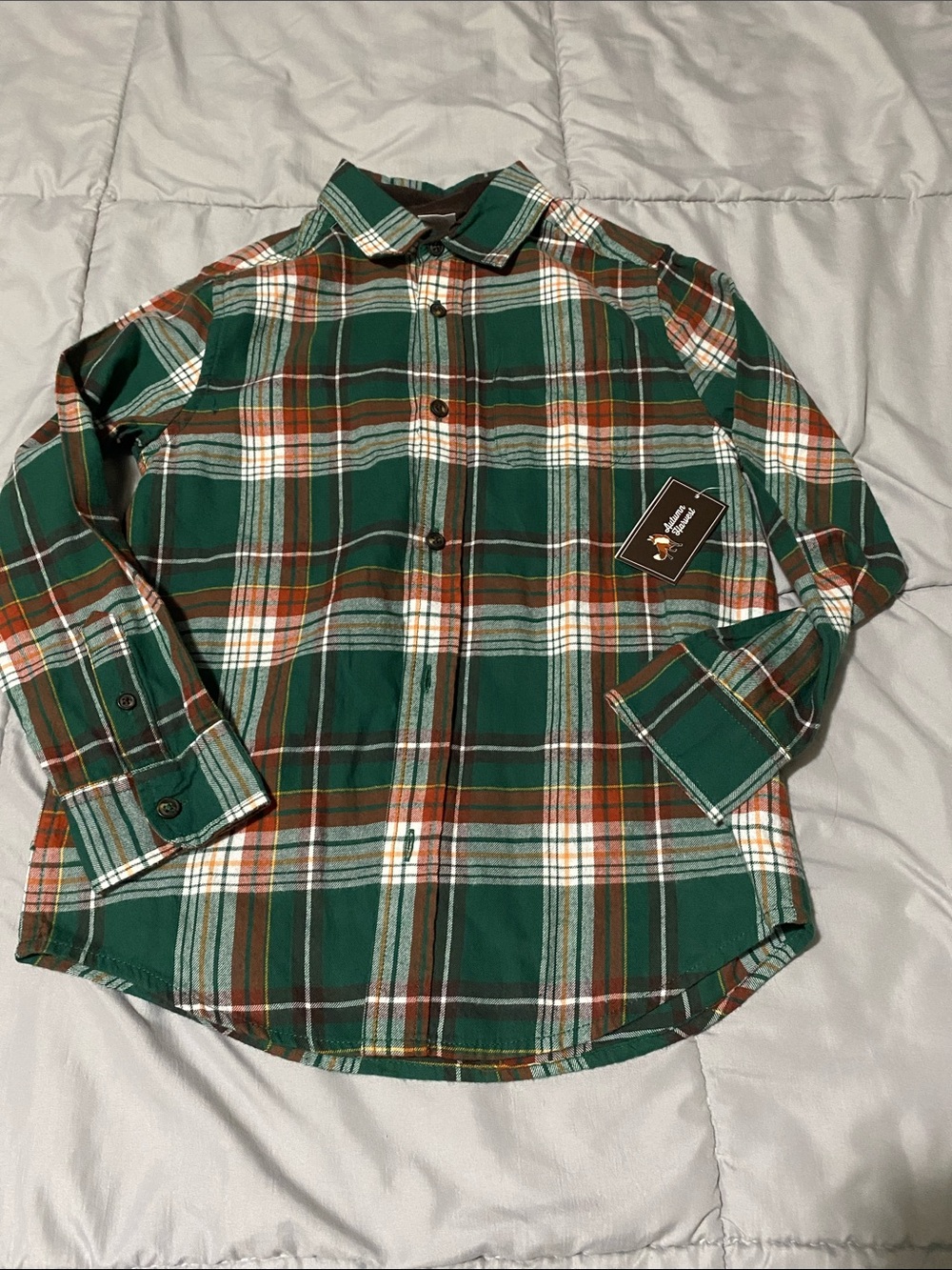Gymboree Green Plaid Button-Down Shirt with Orange and White